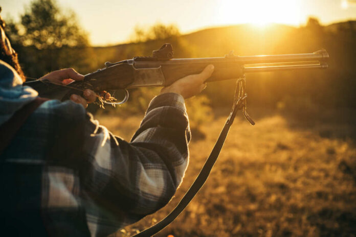 Hunter,With,Shotgun,Gun,On,Hunt.,Illegal,Hunting,Poacher,In