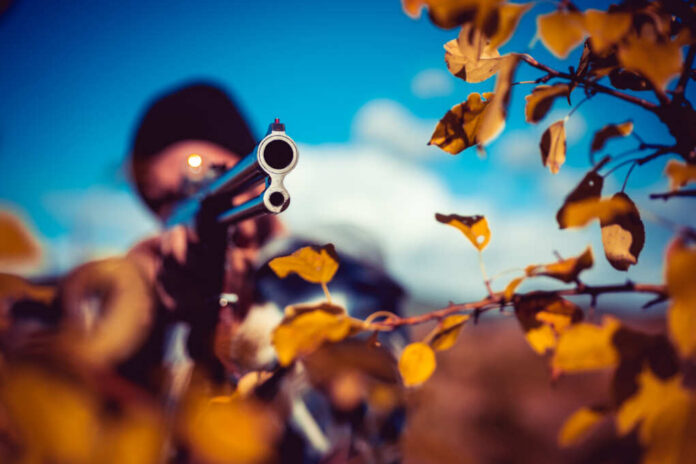 Poacher,With,Rifle,Spotting,Some,Deers.,Hunter,With,Shotgun,Gun