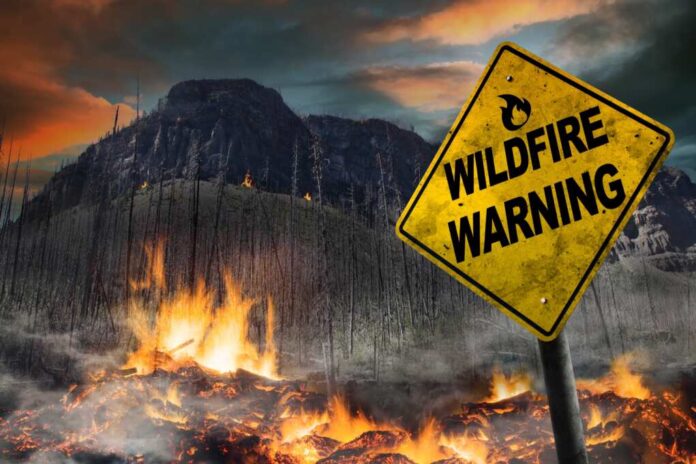 Wildfire,Warning,Sign,Against,A,Forest,Fire,Background,With,Burnt