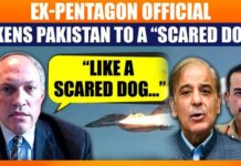 “Like a Scared Dog with Tail Between its Legs…” Ex