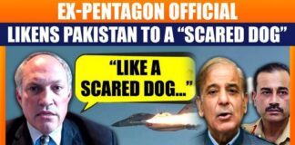 “Like a Scared Dog with Tail Between its Legs…” Ex