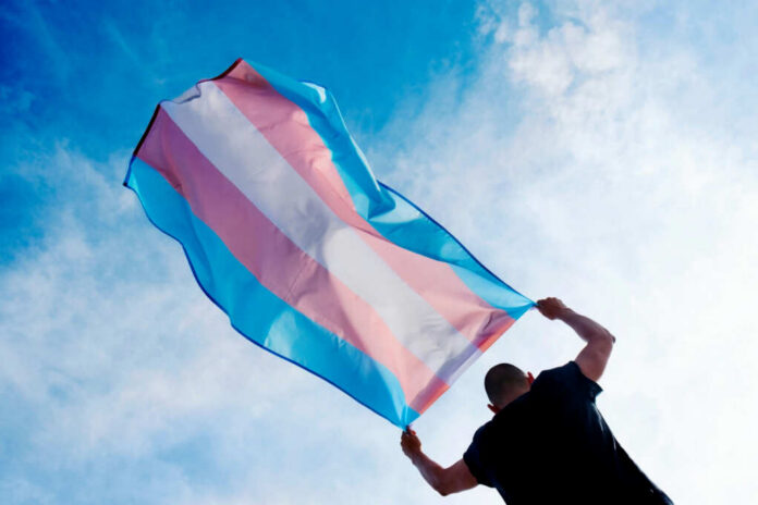 Person holding a transgender pride flag against a blue sky