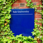 Sign for Yale University partially covered by ivy