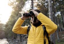 Person in a yellow jacket using binoculars in a forest