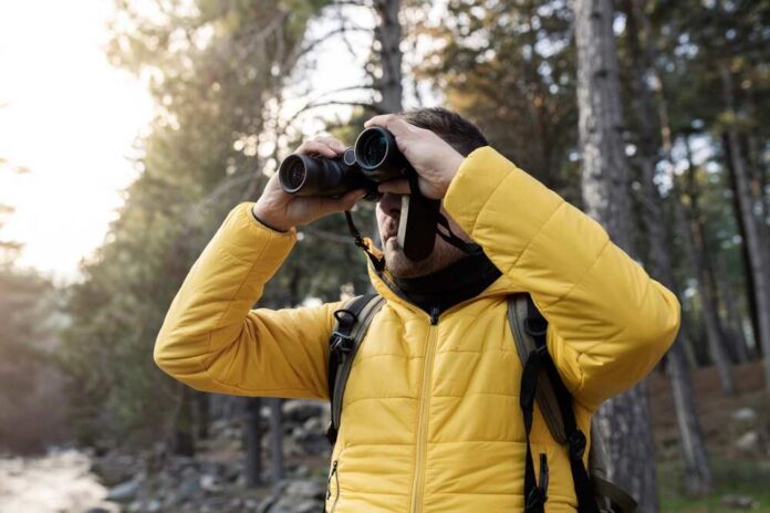 shutterstock_2121170306.jpg Person in a yellow jacket using binoculars in a forest
