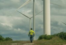 A worker in a yellow jacket walking among wind turbines
