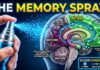 Big Pharma’s Latest: Unproven Youth Spray A Nasal Spray That Restores Your Memory and Focus: A New Medical Revolution! 🧠👃