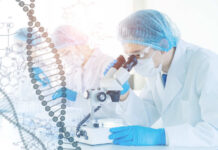 NASA’s Bold Stem Cell Gamble: Real Breakthrough? Scientist examining samples under a microscope in a laboratory