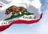 California state flag featuring a bear and a star