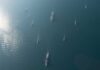 Aerial view of multiple naval ships navigating in the ocean