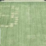 '86 47' VANDALIZED on grass at National Mall