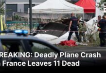 BREAKING: Eleven Dead After Skydiving Plane Crashes in Northeastern France | DRM News | AP1C