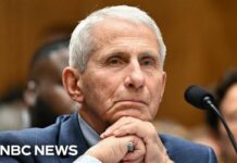 Fifth Amendment Bombshell: Fauci Clams Up Anthony Fauci invokes Fifth Amendment right not to testify at Senate hearing