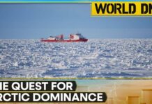 China's Arctic Shortcut To Europe: Arctic Route Could Cut Shipping Time In Half | WION World DNA