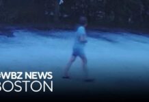 Bloody 911 Call Triggers Massive Manhunt Search continues for Karen Solomon in connection to Worcester police officer's death