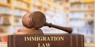 Judge's gavel resting on an immigration law book