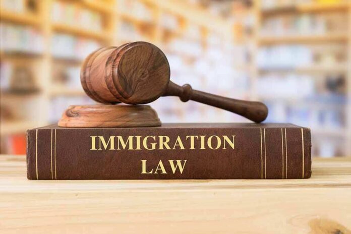 shutterstock_408809950 Judge's gavel resting on an immigration law book