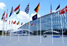 Row of national flags outside a modern glass building