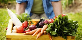 A wooden crate filled with various fresh vegetables in a garden
