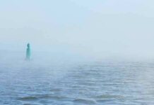 Green buoy in foggy sea