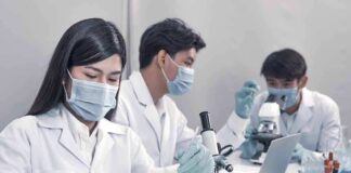 Scientists in lab coats working with test tubes and microscopes