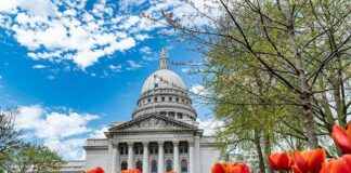 Capitol building framed by red tulips under a blue sky