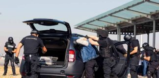 customs officers detain a person beside a car with its trunk open