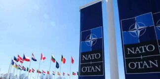 NATO flags and banners outside headquarters